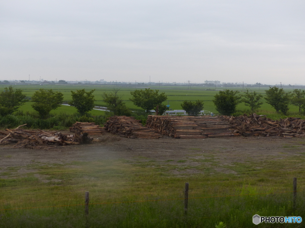 海苔の網かけまでには