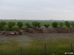 海苔の網かけまでには