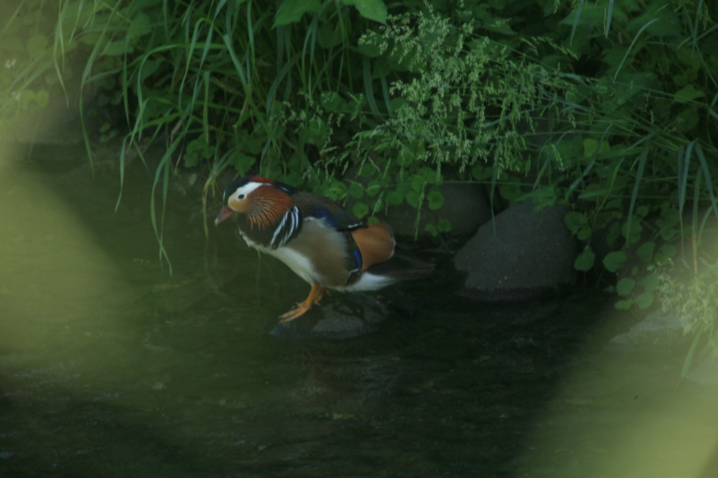 きれいに撮ってね
