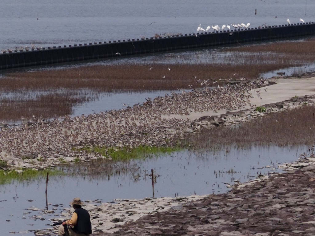 こんなちかくで