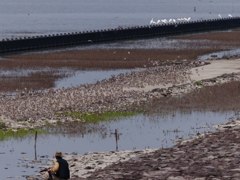 こんなちかくで