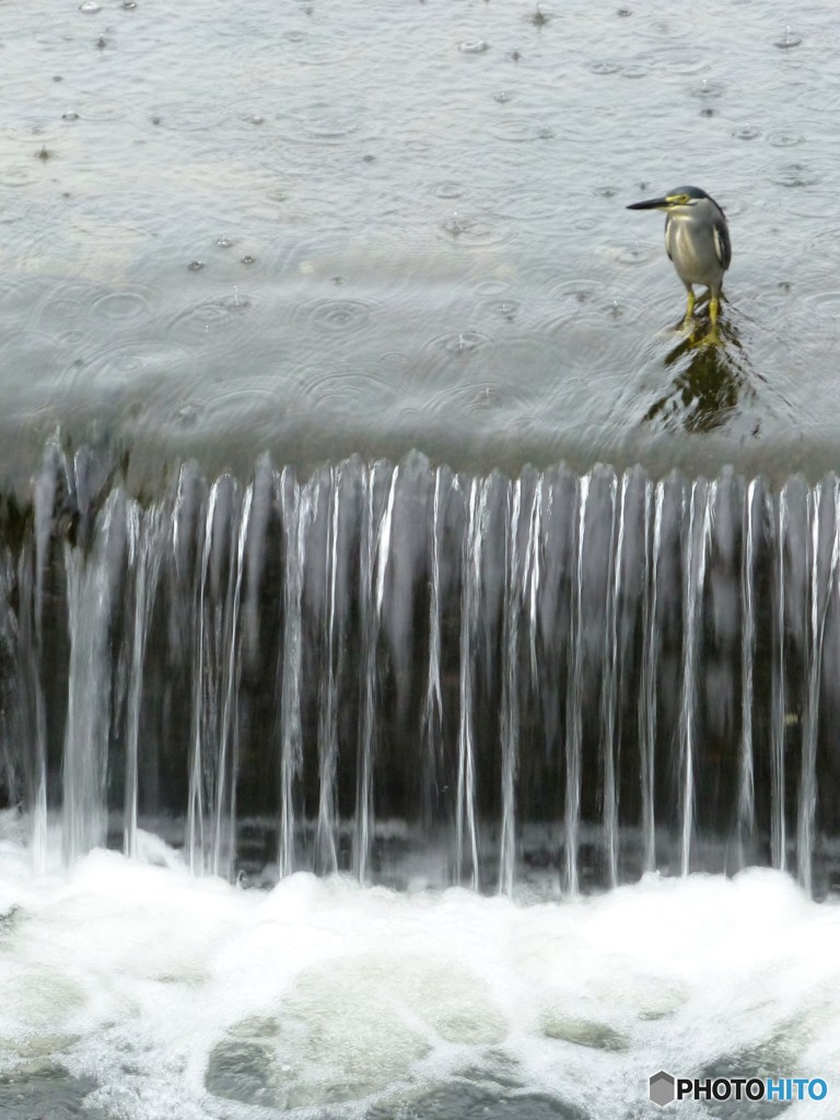 よか写真でしょ