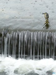 よか写真でしょ