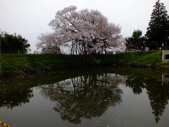 久留米市山本町