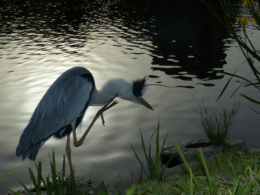 ちーさなストロボで