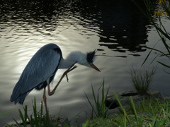 ちーさなストロボで