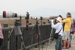 おしゃれな８００ｍ