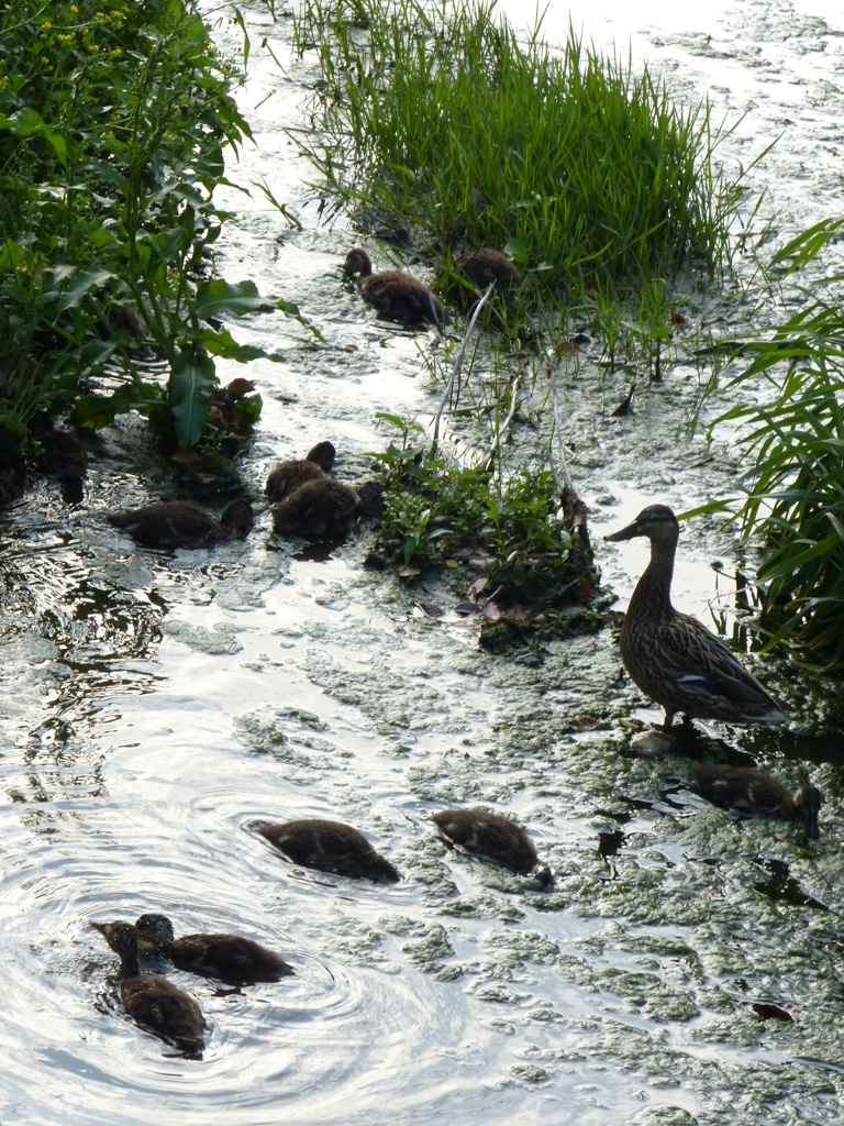 きれいに写してね