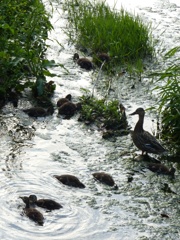 きれいに写してね