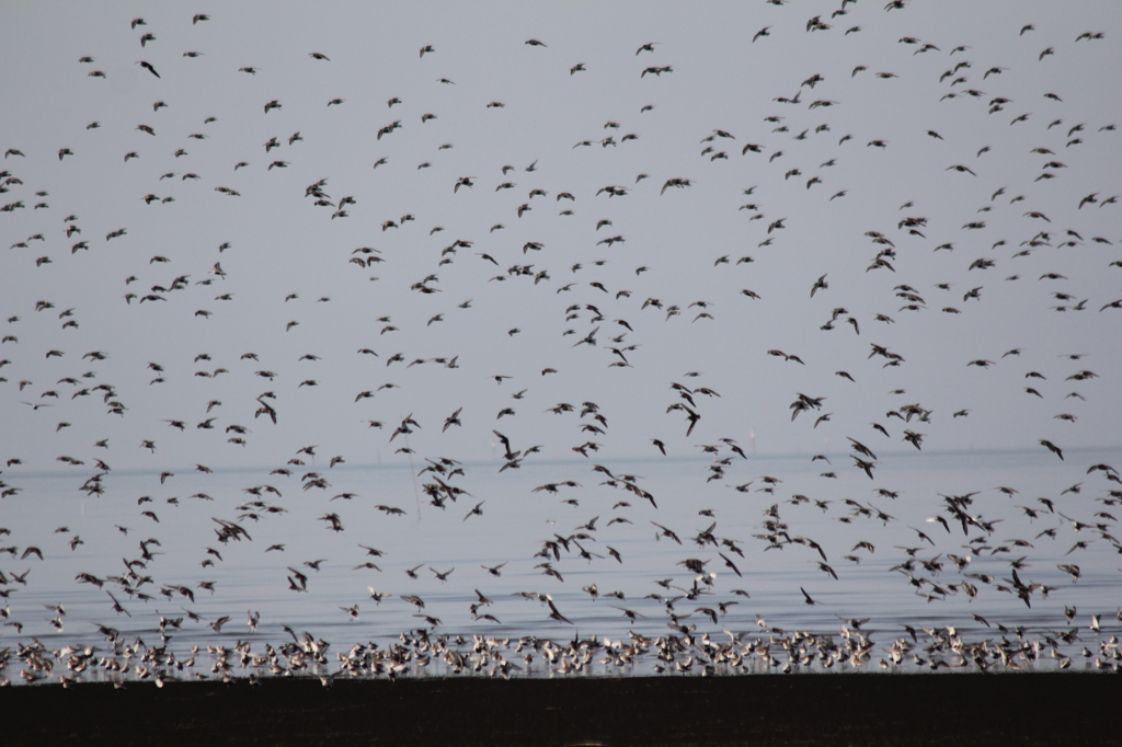 無限でもピントが