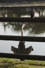 なんばしょっと