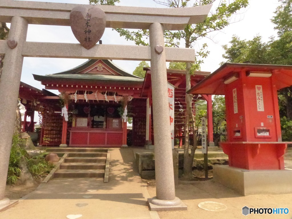 いろんなお願い