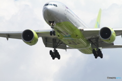 きれいなグリーン