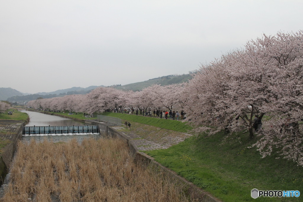 ここはすごいです
