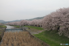 ここはすごいです