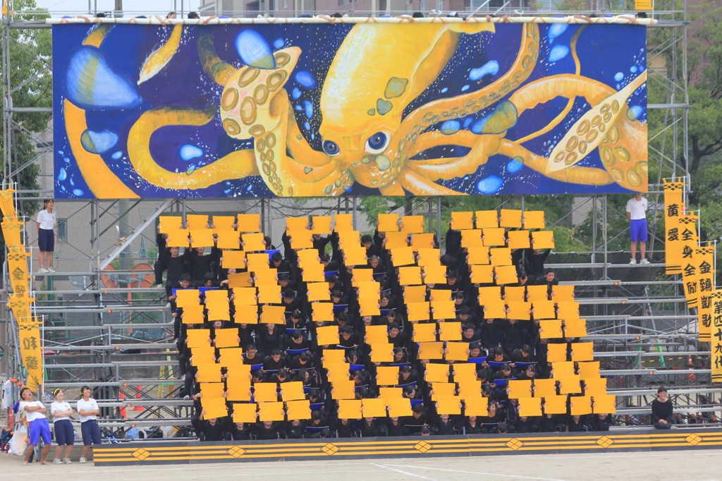 すこしそろってませんが