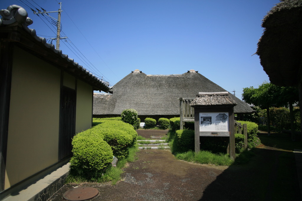 近所の山口さんち