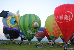 昨年の大会から