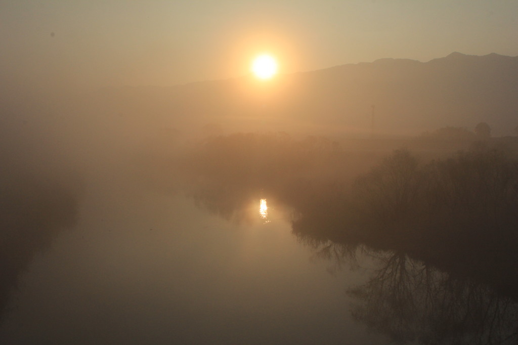 ２０１６年１月１日