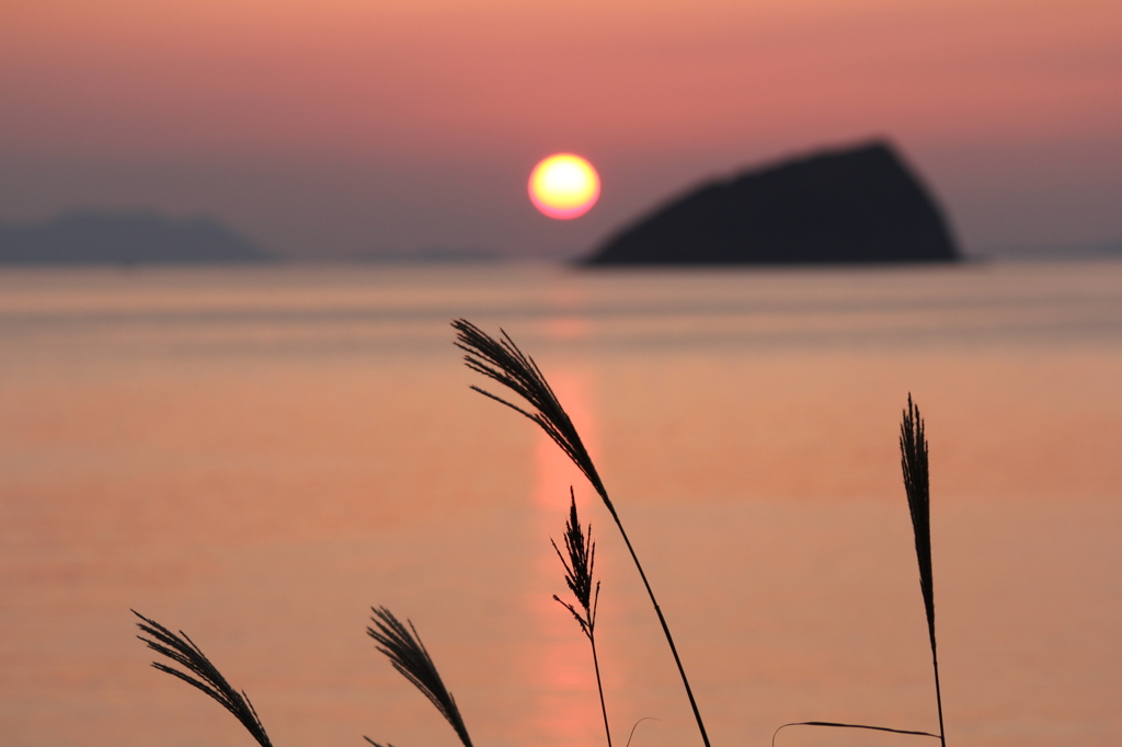 下まで、きれいでした