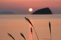 下まで、きれいでした