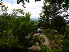 すごい植木屋さん