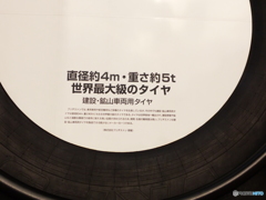 輸出用でしょうね