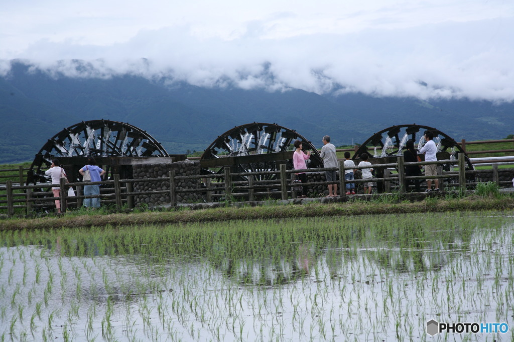 今年は回り始めたかな？