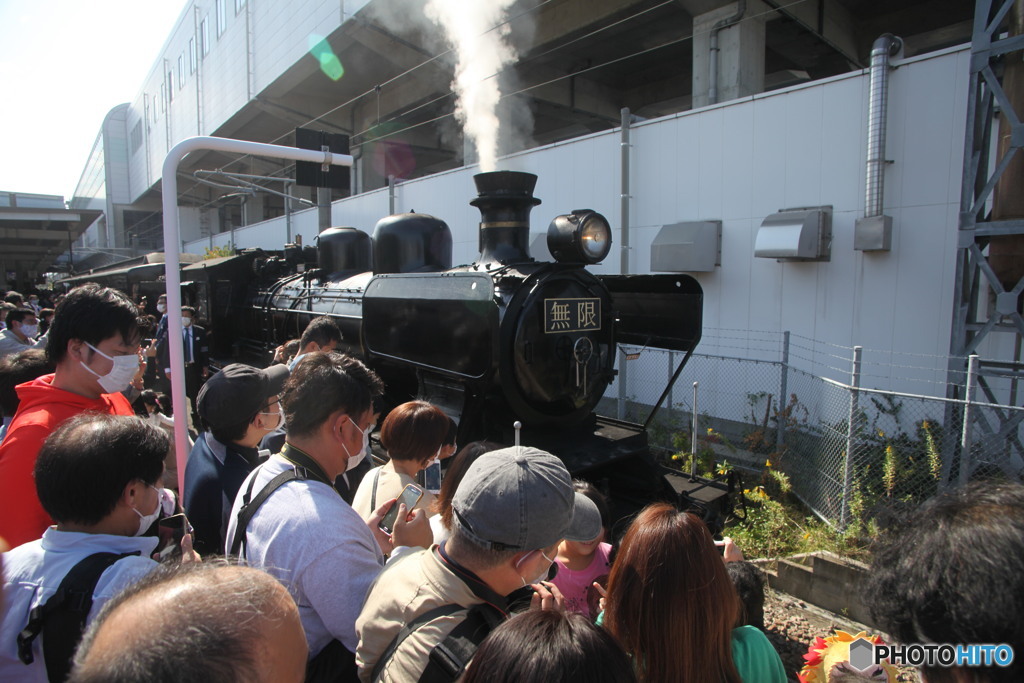来たよ