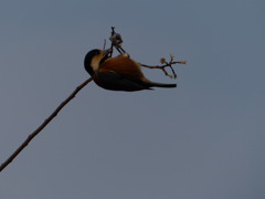 すごい停まり方