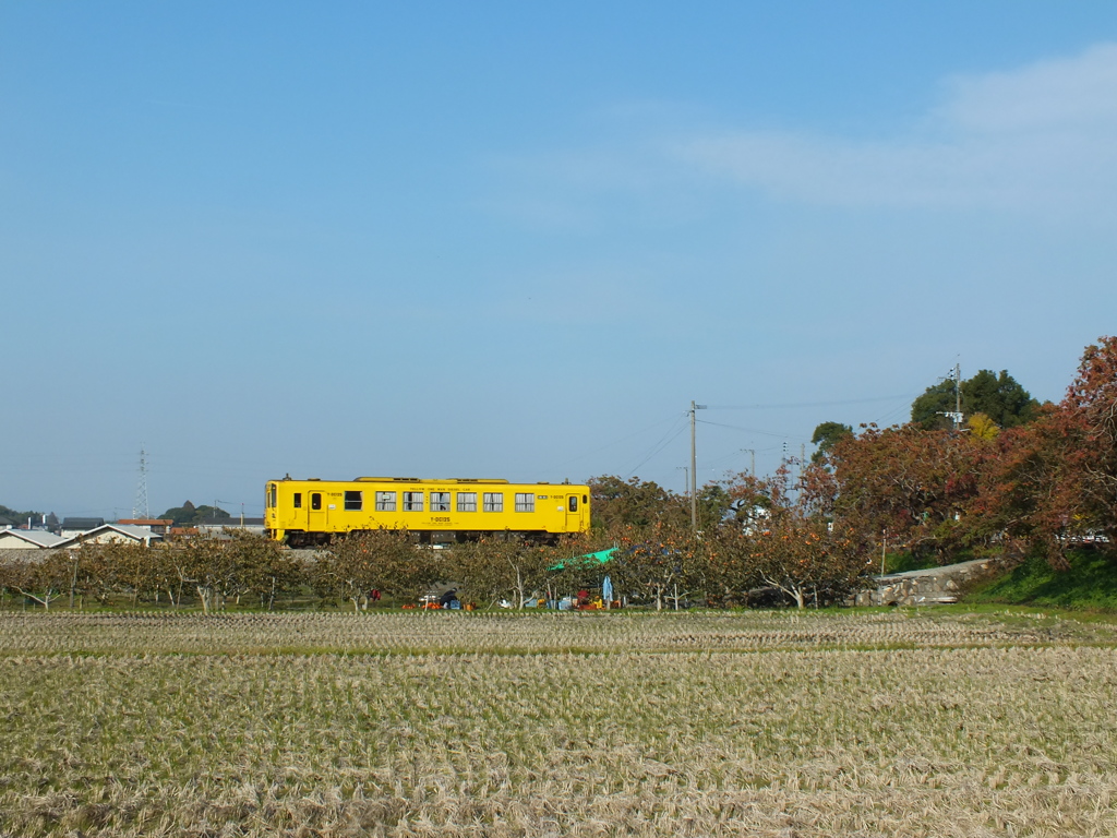 黄色