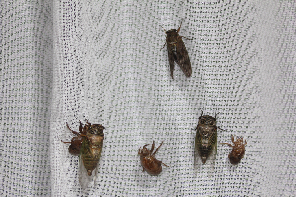 おまり遅くて寝ました