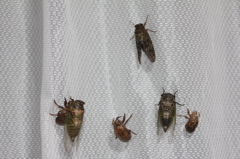 おまり遅くて寝ました