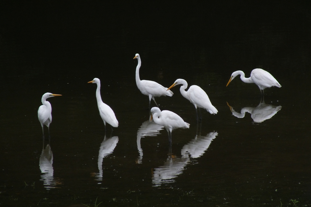 きれいなものに注意