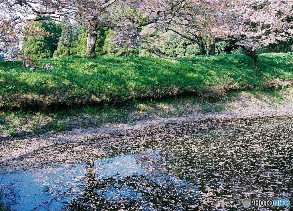 河童池、天気よければ