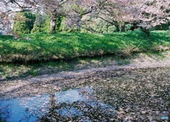 河童池、天気よければ