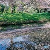 河童池、天気よければ