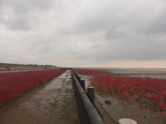 この先が佐賀空港