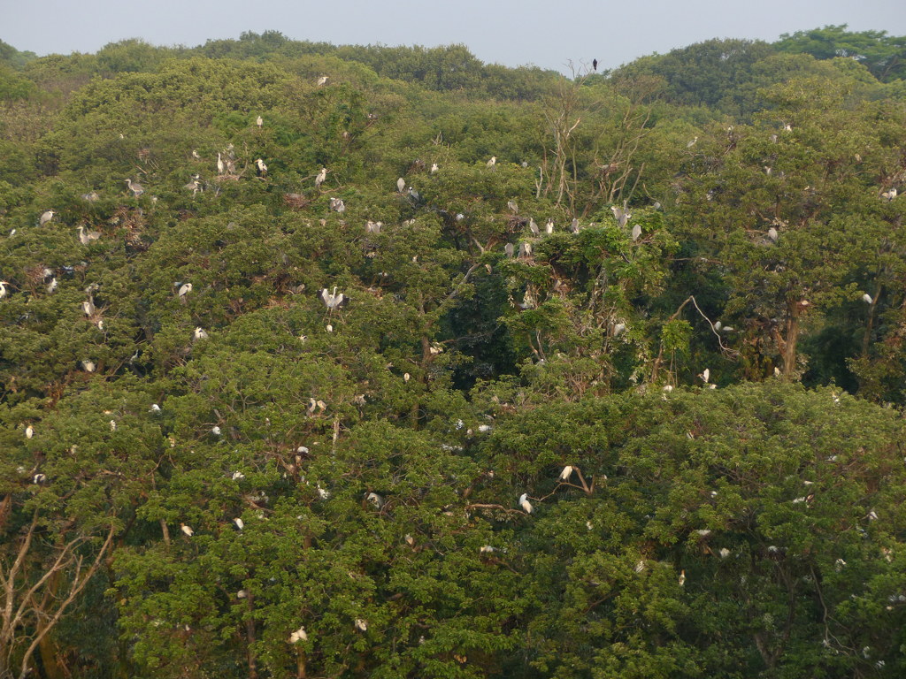 こーんなとこですよ