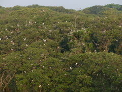 こーんなとこですよ