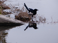 そこは危ないよ