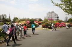 １０キロコース