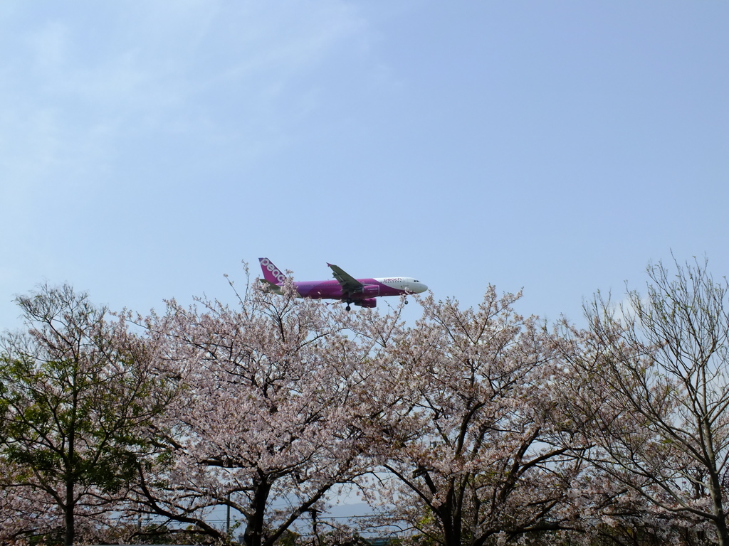 ピンク飛行機