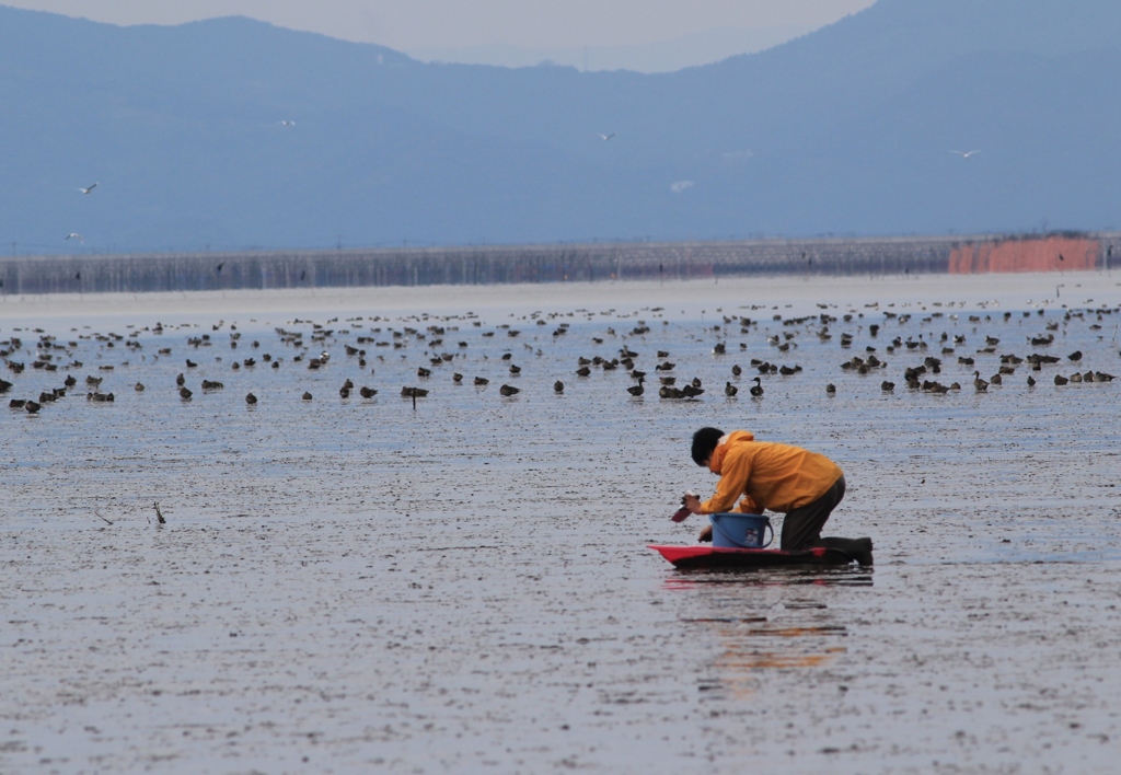 大学の研究生？