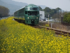 なのはな