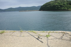 健さんのロケ地で