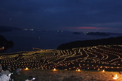 びゅーちぃふる