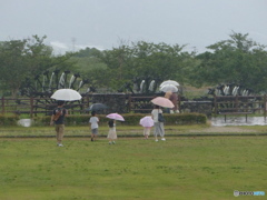 こちらは観光用