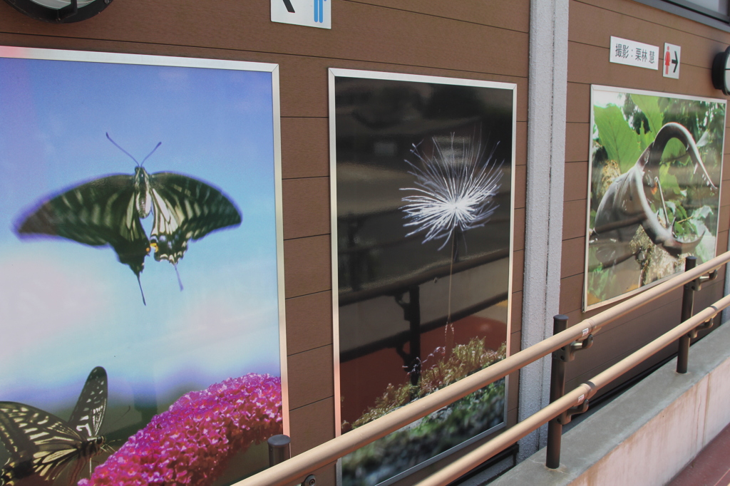 駅に栗林さんの写真