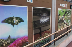 駅に栗林さんの写真